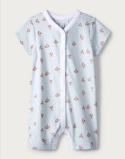 The Little White Company Rose