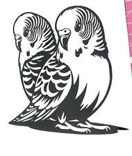 1x Budgie Bird Vinyl Sticker