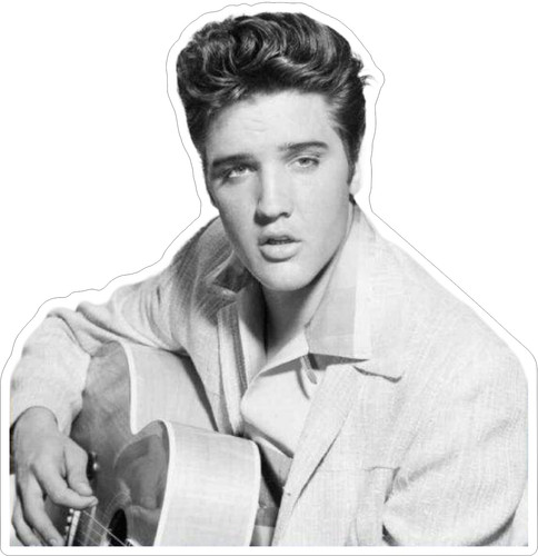 Elvis presley photo sticker - elvis,