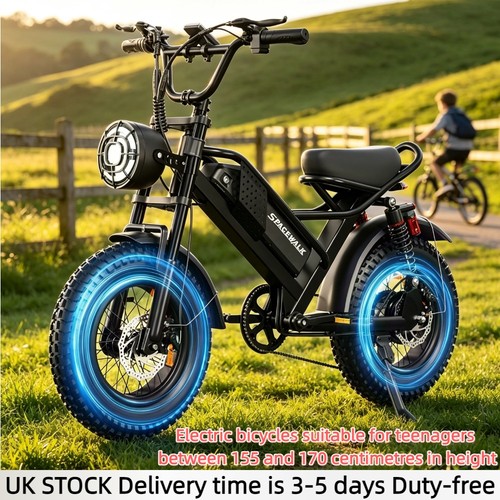 Fat tire electric bike - tire,
