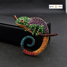 Beautiful Large Lizard