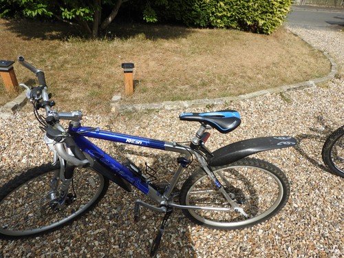 Carrera bike - carrera,