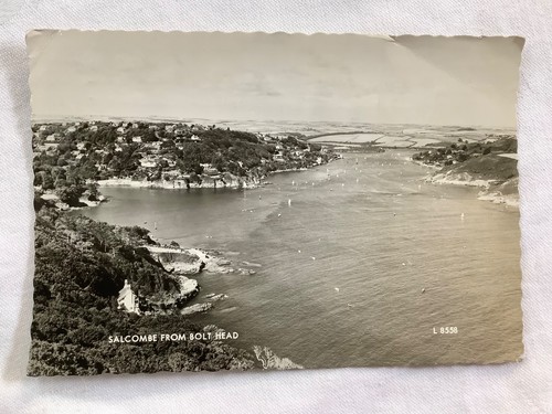 Salcombe from bolt - salcombe,