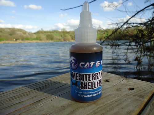 Mediterranean shellfish bait - shellfish,