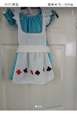 Alice in Wonderland Costume