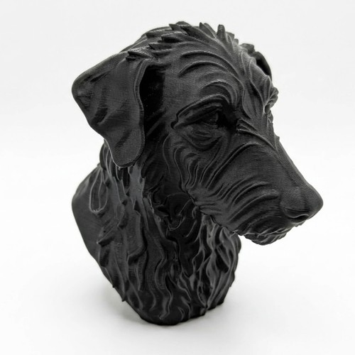 Rough hair lurcher - rough,