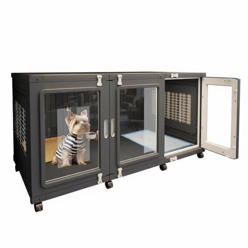 Luxury villa design clear dog - villa,