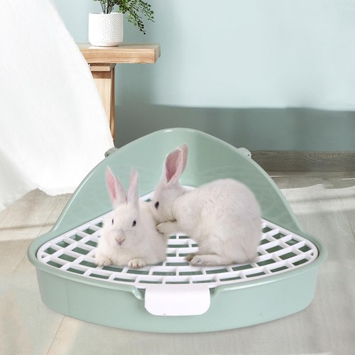Medium litter box potty - potty, small