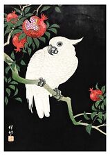 Japanese Bird Art Prints by Ohara Koson Traditional Japanese  Framed Available