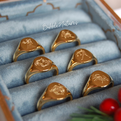 Zodiac signet ring - zodiac,
