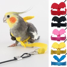 Bird Harness Leash Set Parrot