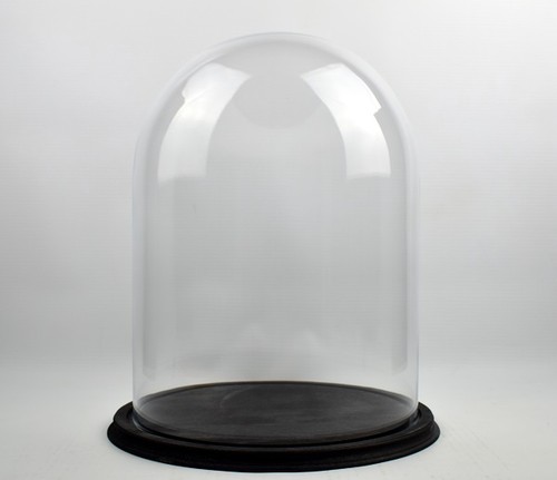 Clear circular glass dome - clear,