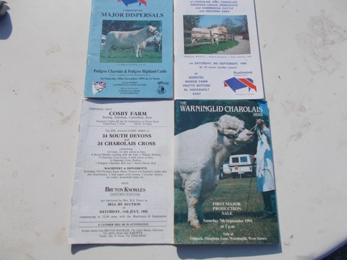Charolais cattle sale - cattle,