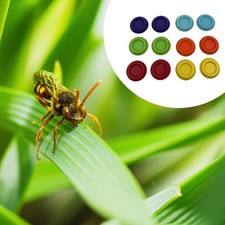 12Pcs Roaches Feeder Bowls