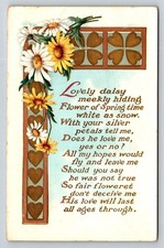 Vintage "Lovely Daisy" Floral