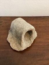 Neolithic Large Pottery Piece Handle Decorated With Shell Impressions