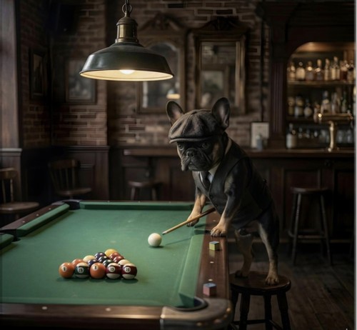 French bulldog playing pool - french,