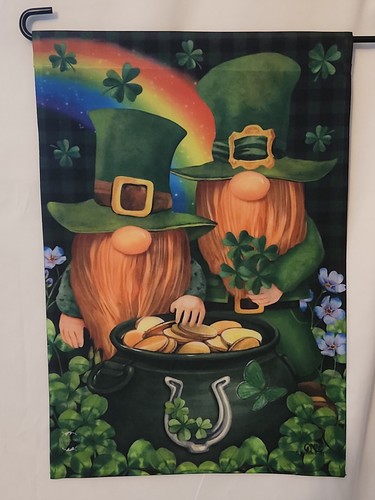 Irish gnomes garden - gnomes, garden,
