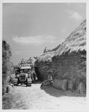 HAYING AT MOUNT FARM - original aircraft photo