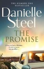 Steel: The Promise, Danielle