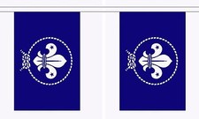 SCOUTS BLUE 3 METRE BUNTING 10