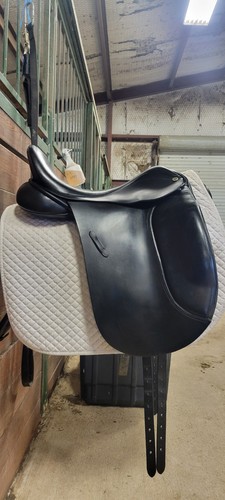 Cliff barnsby gage dressage - cliff,