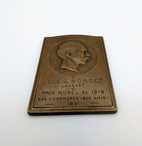 Commemorative bronze plaque - bronze,