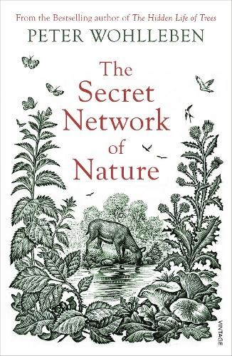 The secret network nature - secret,