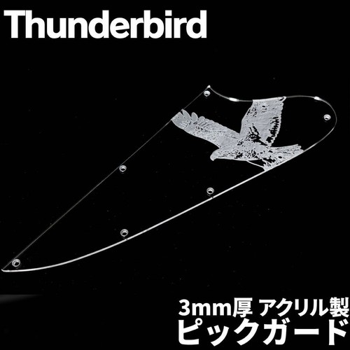 Gibson thunderbird acrylic - gibson,
