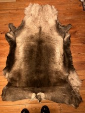 REINDEER Hide (STUNNING)