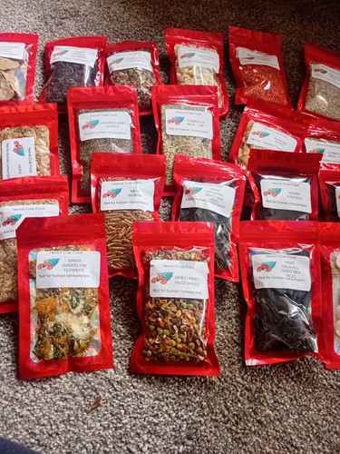 Hermit crab food selections - , 5