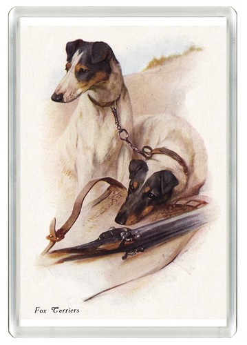 Smooth fox terrier dog - dog, fridge