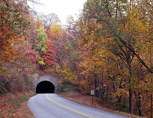 Photo north carolina - photo:north,