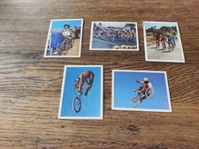 5 × Weet-Bix BMX Mountain