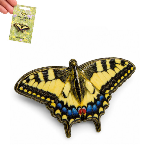 Swallowtail butterfly pin - swallowtail,