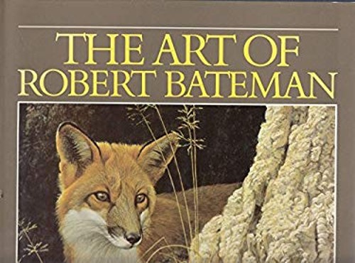Art robert bateman ramsay - of,