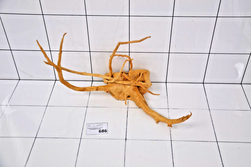 Premium aquarium natural wood - natural,