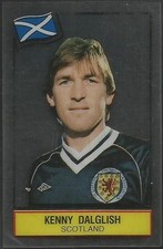 PANINI FOOTBALL SUPERSTARS