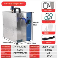 220V Jewelry Steam Cleaner