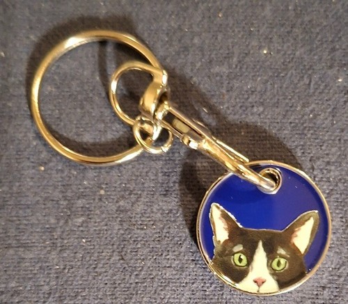 Charity trolley token keyring