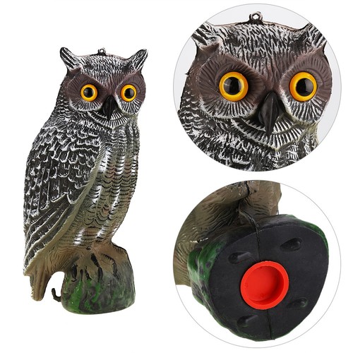 Solar powered owl hunting - °solar,
