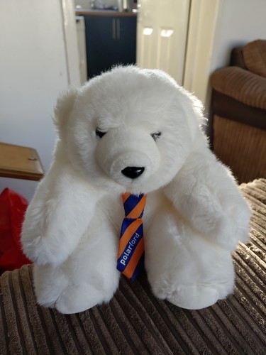 Polar ford cars - polar,