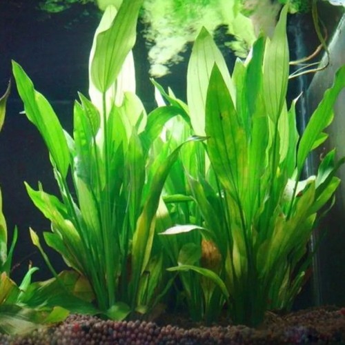 Artificial fake plastic water - artificial,