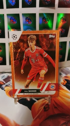 Paul wanner orange - wanner,