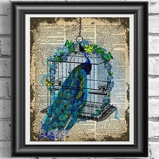 Vintage Peacock Flowers Love