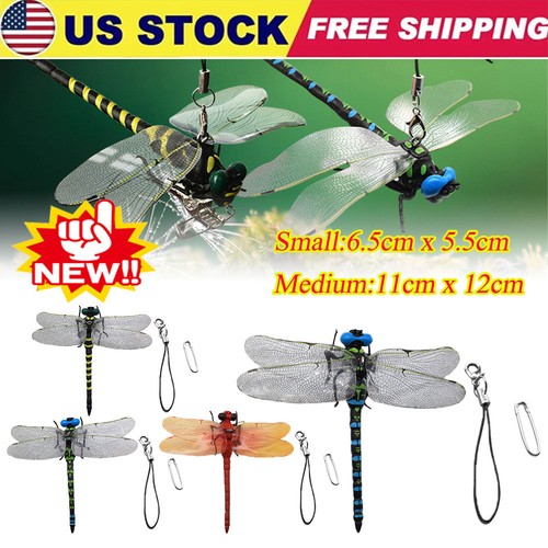 Dragonfly hat clip realistic - dragonfly,