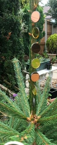 Hanging garden mirrors small - garden,