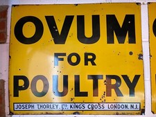 Large Original Ovum For