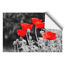 Red Poppy Field Framed Canvas