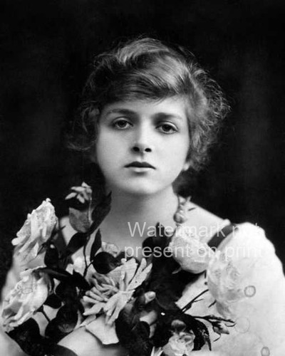 Gladys cooper photo 8x10 - gladys,